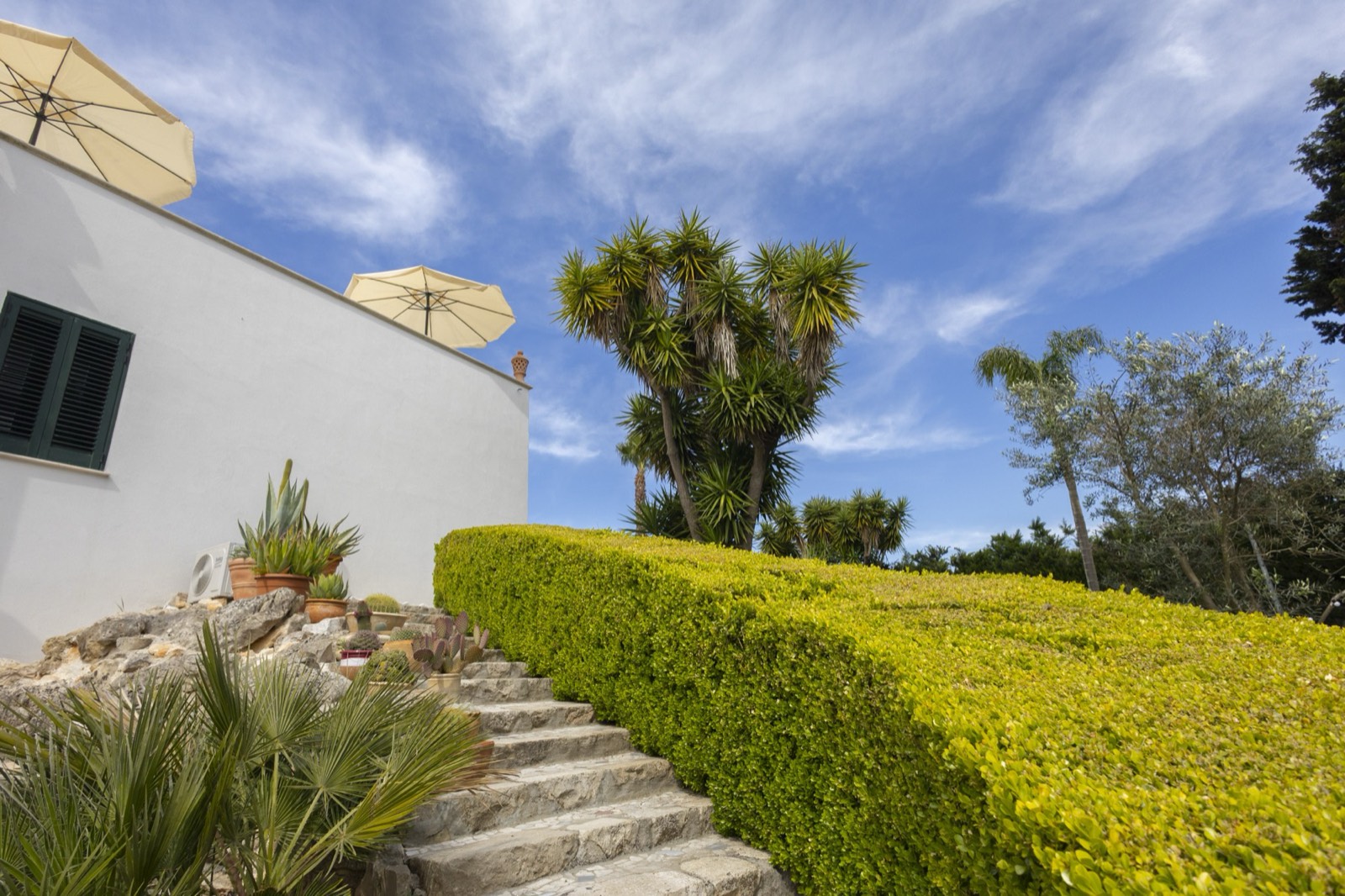 Giardino mediterraneo con facciata chiara sullo sfondo